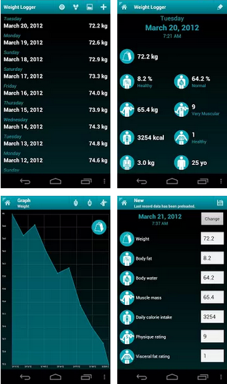 Manual input health values into Garmin Connect - Kochka's